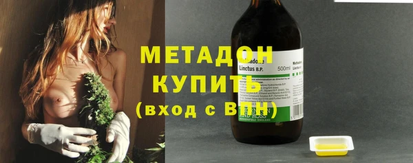 прущие грибы Арсеньев