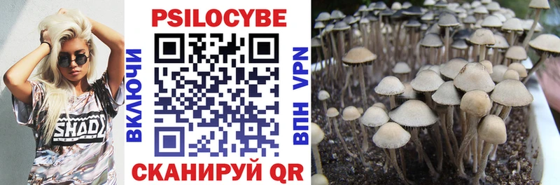 как найти наркотики  Заполярный  Псилоцибиновые грибы Magic Shrooms 