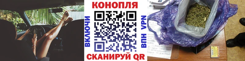 Бошки марихуана план  Заполярный 